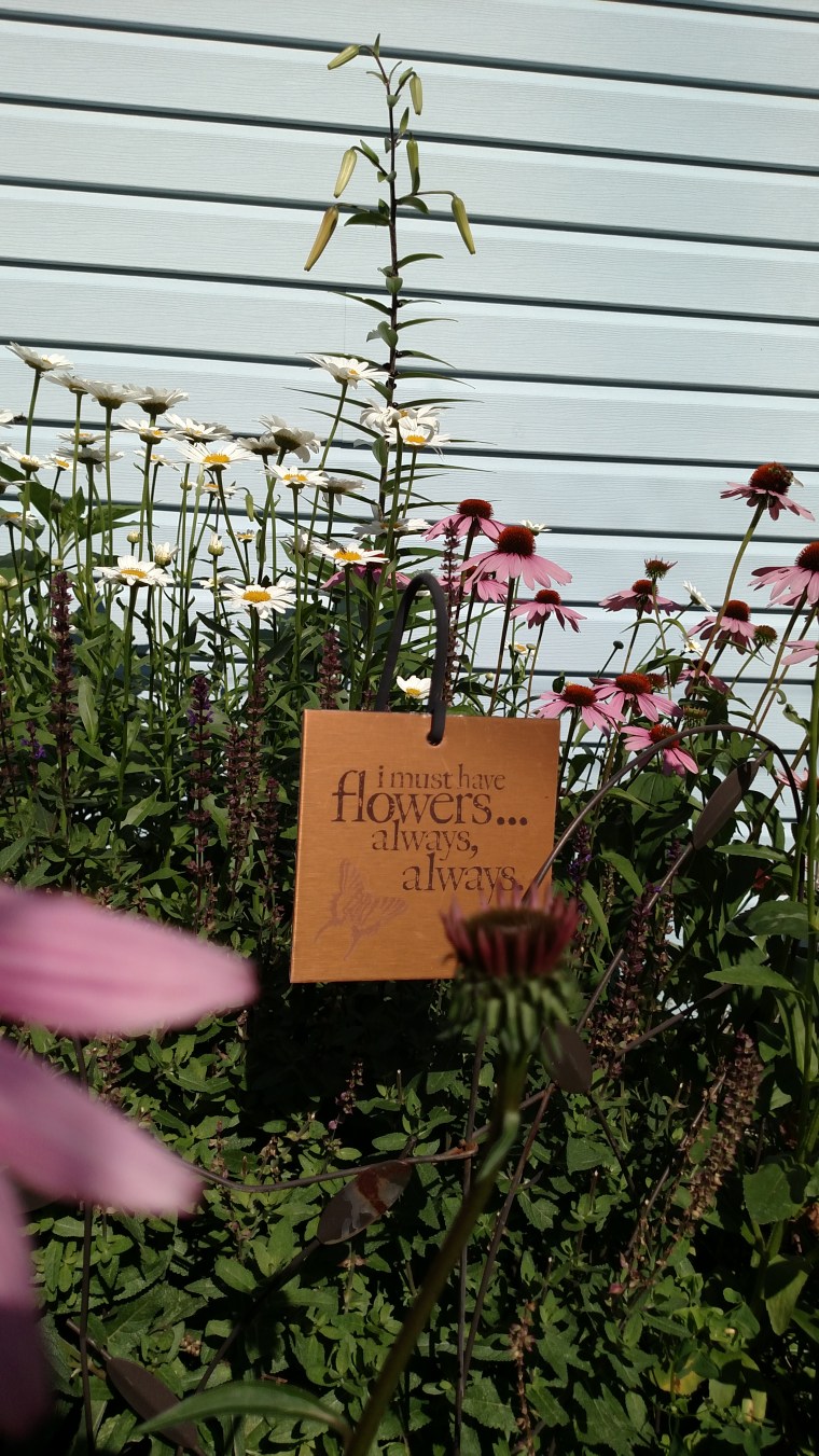 IMG_20160716_172524776