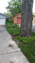 bed by driveway 2014