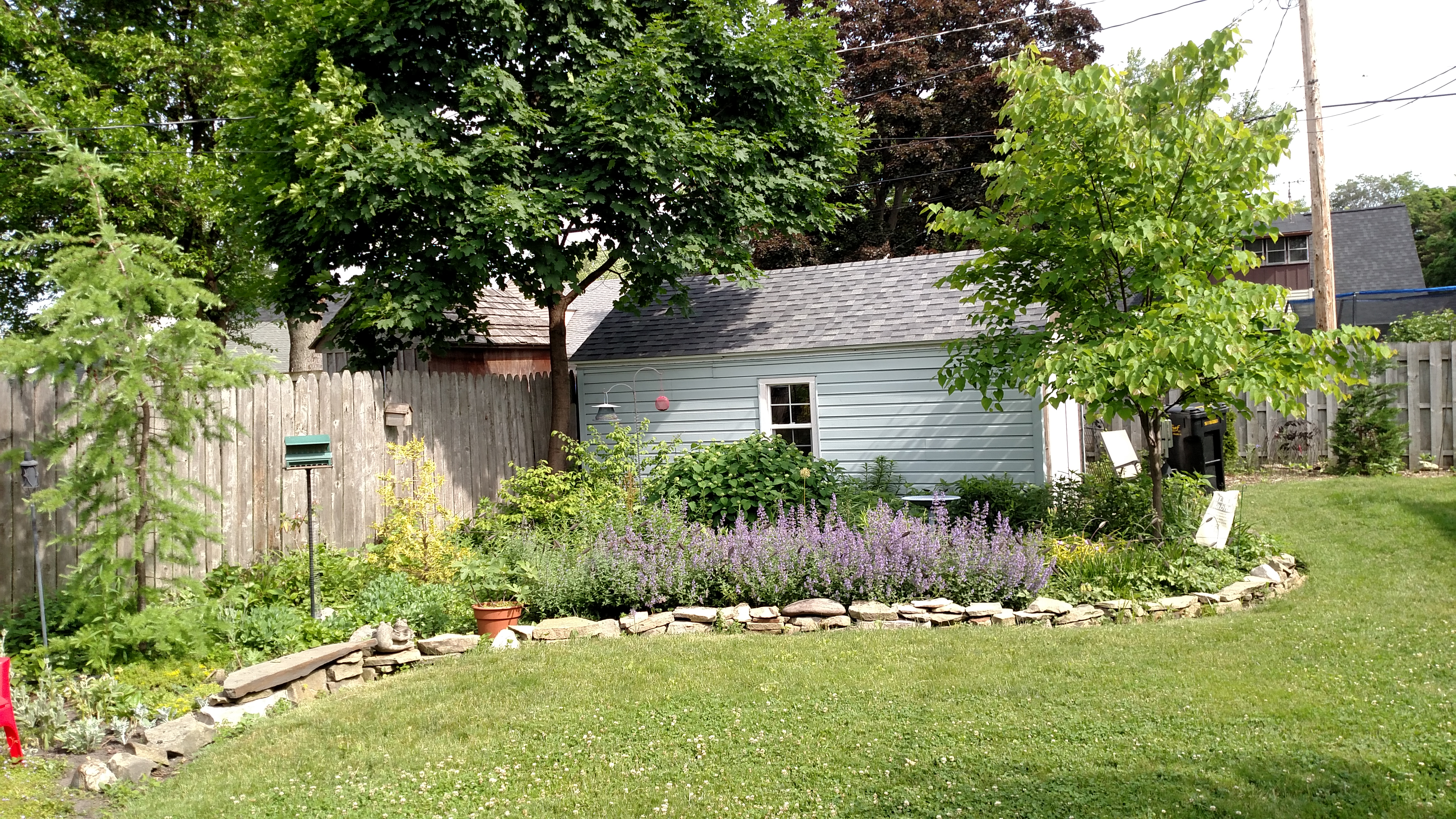 IMG_20180608_102821462